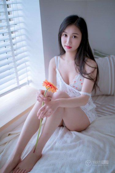 春天里电视剧全集